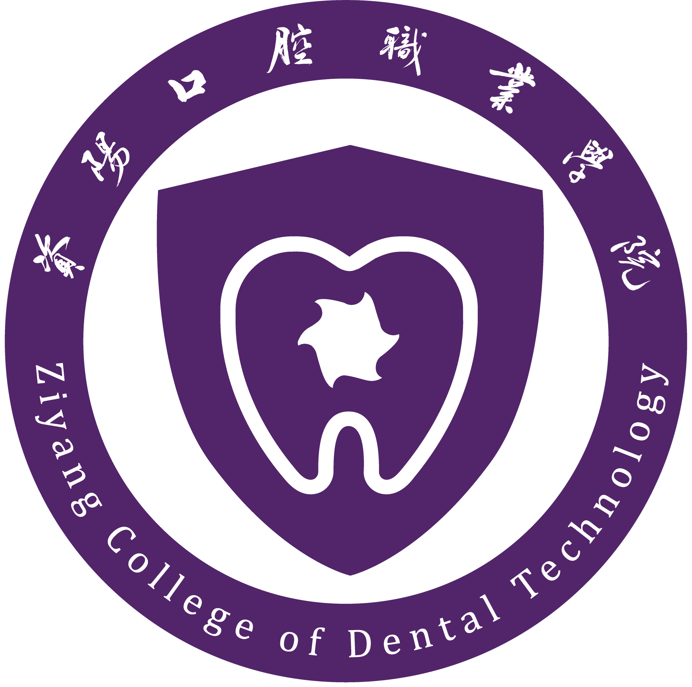 Ziyang College of Dental Technology