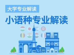 小语种专业解读