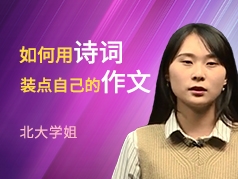 如何用诗词装点自己的作文