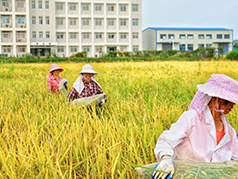 华中农业大学专业介绍