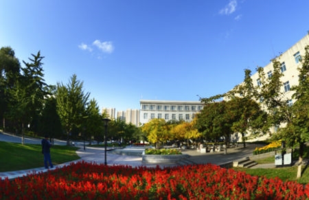 东北大学.jpg