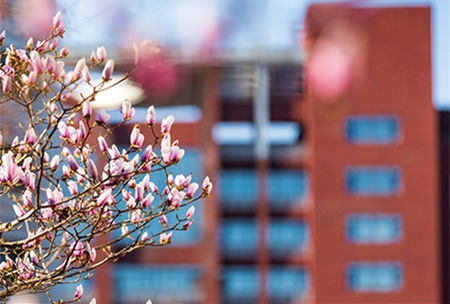 <ucollege class='u-self' data-code='10015'>中国人民大学</ucollege>.jpg