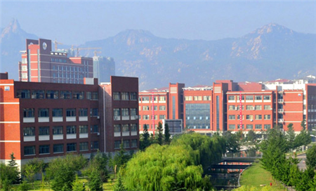 山东科技大学.png