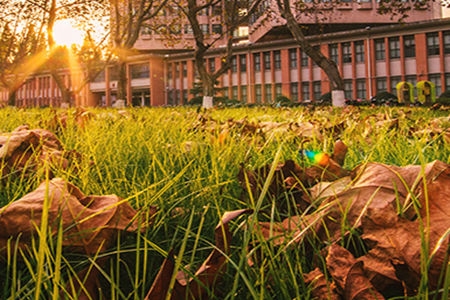 <ucollege class='u-self' data-code='10033'>同济大学</ucollege>1.jpg