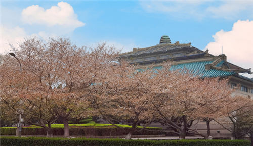 <ucollege class='u-self' data-code='10017'>武汉大学</ucollege>.png