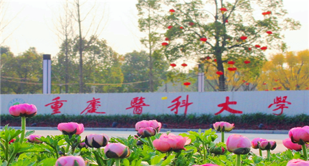 <ucollege class='u-self' data-code='10232'>重庆医科大学</ucollege>.png