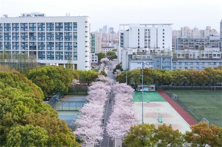 春满济园 (64).jpg