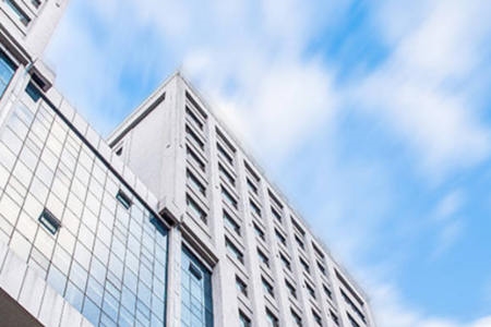 <ucollege class='u-self' data-code='10166'>东北林业大学</ucollege>.jpg