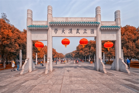 <ucollege class='u-self' data-code='10017'>武汉大学</ucollege>.jpg