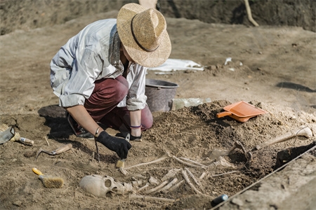 摄图网_303612642_考古挖掘人类遗骸（企业商用）.jpg