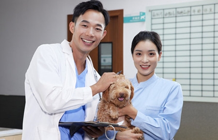 <ucareer class='u-self' data-code='Z090331'>兽医</ucareer>.jpg