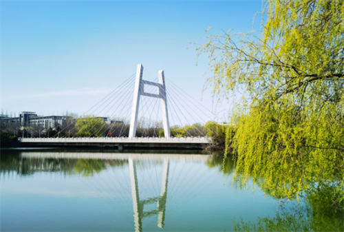 <ucollege class='u-self' data-code='10376'>山东第一医科大学</ucollege>.png