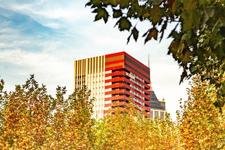 <ucollege class='u-self' data-code='10051'>华东师范大学</ucollege>.jpg