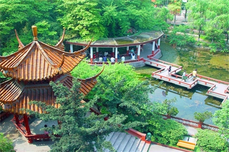 <ucollege class='u-self' data-code='10425'>西华大学</ucollege>.jpg