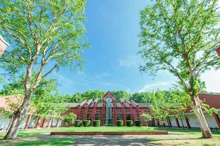 <ucollege class='u-self' data-code='10013'>华中科技大学</ucollege>.jpg