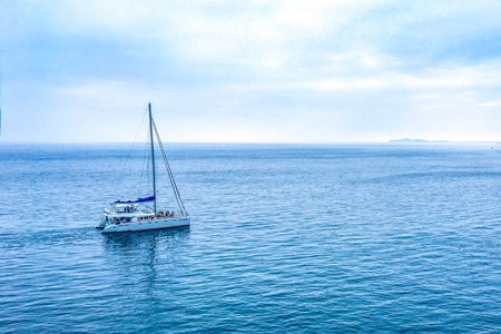 <umajor class='u-self' data-code='070702'>海洋技术</umajor>.jpeg